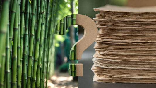 Comparison of fresh green bamboo stalks versus traditional tree-based paper stack with question mark – why switch to eco-friendly bamboo toilet paper?